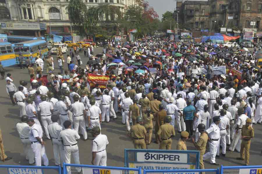 Various groups are legitimately maintained in parallel with established systems centered on the basic needs of society