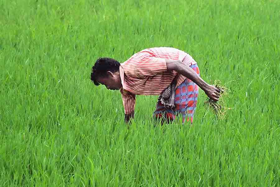 বিশেষজ্ঞদের দাবি, বর্তমানে আইনে ‘কৃষি জমি’র ব্যাখ্যা যথেষ্ট জটিল। কিন্তু নতুন বিলে একে বেশ সরল করা হয়েছে। কাকে ‘কৃষি জমি’ বলা হবে, সেটা বোঝাতে শব্দ সংখ্যা অনেক কমিয়েছে কেন্দ্র। এ ছাড়া ১৯৬১ সালের আয়কর আইনে ‘তবু’ শব্দটির বহুল ব্যবহার রয়েছে। নতুন বিলে অধিকাংশ জায়গায় এই শব্দটিকে বাদ দেওয়া হয়েছে। কিছু ক্ষেত্রে ‘যাই হোক না কেন’ শব্দবন্ধের মাধ্যমে একে বদল করা হয়েছে। 