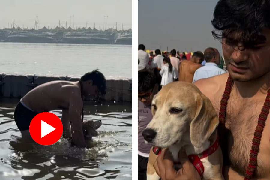 Man takes dip in Triveni Sangam with his pet dog, heartwarming video goes viral
