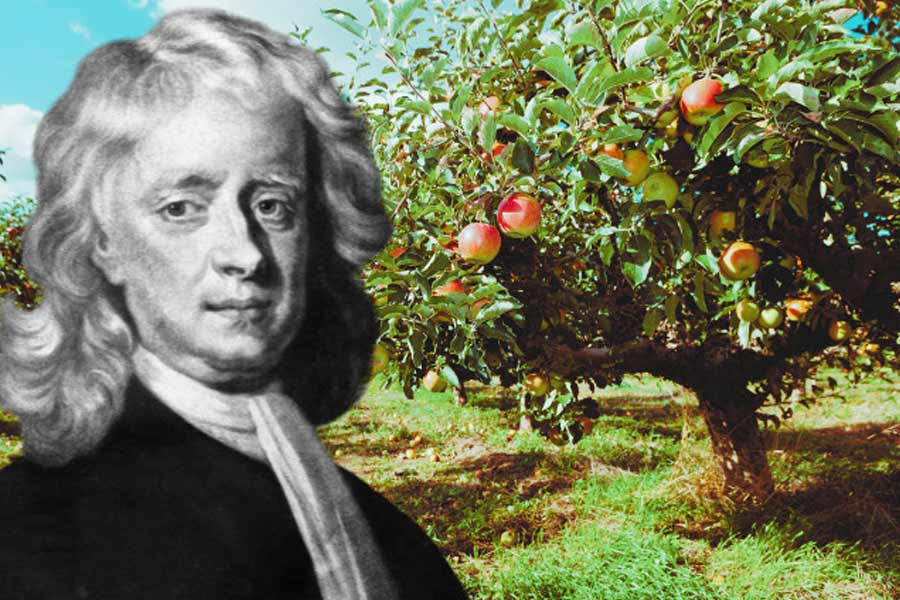 নিউটন জানিয়েছিলেন, বাইবেলের ‘বুক অফ ড্যানিয়েল’-এ উল্লেখ করা তারিখ এবং সময় গণনা করে তিনি নির্দিষ্ট বছরটি নির্ধারণ করতে সফল হয়েছিলেন।