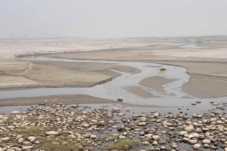 তিস্তা নদী। জলপাইগুড়িতে।
