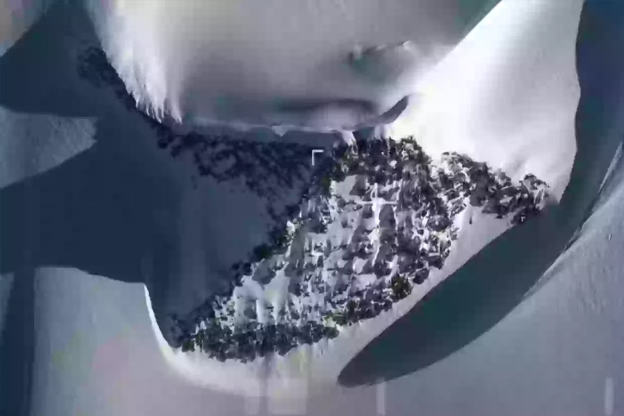 অ্যান্টার্কটিকার সর্বোচ্চ পর্বতমালা হল এই এলসওয়ার্থ। এটি লম্বায় প্রায় ৩৫০ কিলোমিটার এবং প্রস্থে ৪৮ কিলোমিটার। বরফে ঢাকা মহাদেশটির ম্যারি বাইর্ড ল্যান্ড সংলগ্ন রোন আইস শেল্‌ফ থেকে এর উৎপত্তি। ১৯৩৫ সালে পর্বতমালাটি আবিষ্কার করেন লিঙ্কন এল্‌সওয়ার্থ। পরবর্তী কালে তাঁর নামানুসারে পরিচিত পায় এই পাহাড়।