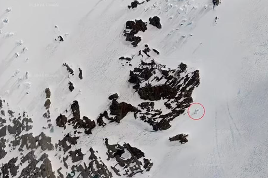 পরিবেশবিজ্ঞানী মাউরি পেল্টো জানিয়েছেন, এল্‌সওয়ার্থ পর্বতমালা এবং এর কাছের প্যাট্রিয়ট পাহাড় নিয়ে দীর্ঘ দিন ধরে গবেষণা চলছে। অ্যান্টার্কটিকার মতো প্রবল ঠান্ডার জায়গায় এই ধরনের চূড়া তৈরি হওয়া একেবারেই আশ্চর্যের নয়। মেরুবিজ্ঞানীরা বিষয়টি তাঁদের রচনায় নথিবদ্ধও করেছেন।