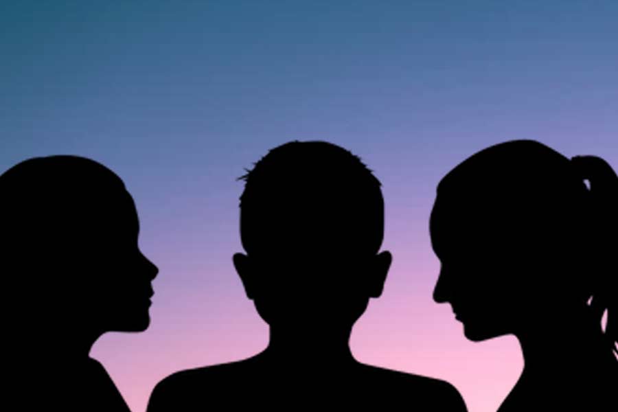 Bihar Family Counselling Centre decides to divide husband between two wives dgtl