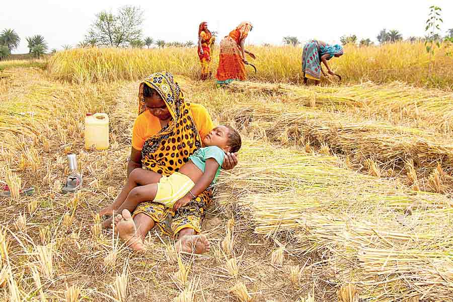 Every Political party's charitable projects for women help them to stay in power in states