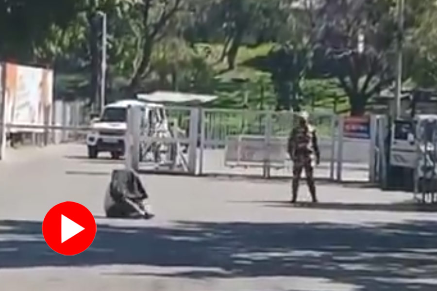 Video of Bee attack outside Haryana Civil Secretariat in Chandigarh goes viral