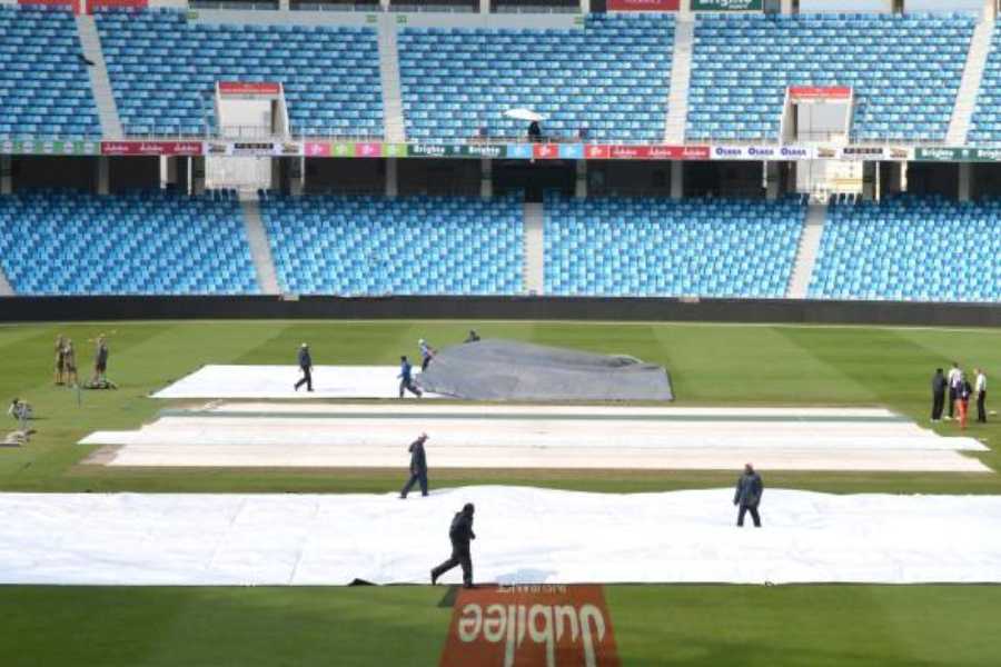 cricket