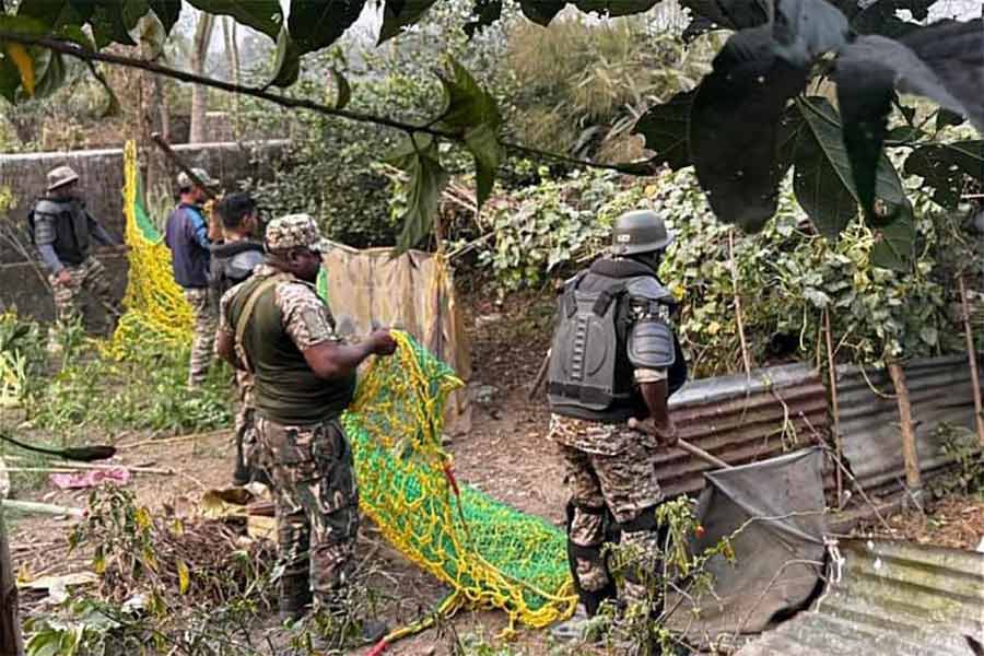 A sick Leopard entered a house at Bagdogra, later Forest Department took care of the animal
