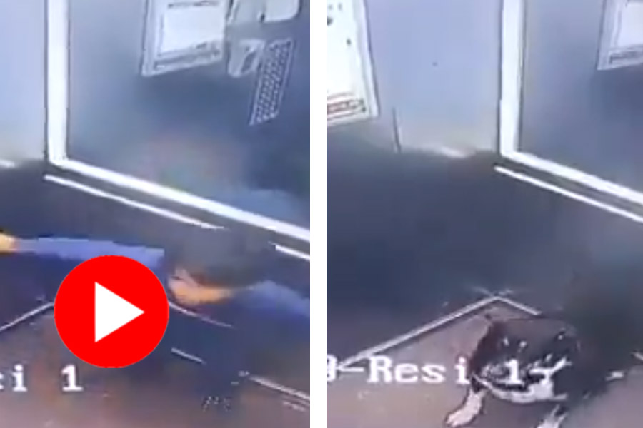 A woman assaulting a boy in a lift