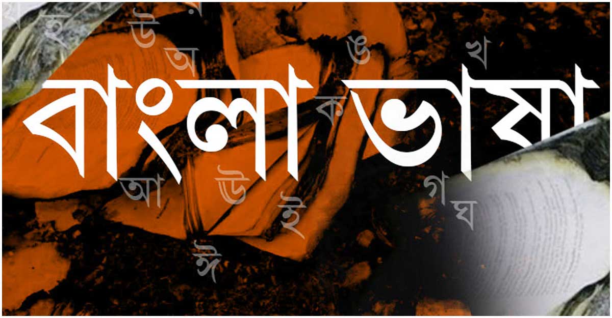 সারা বছর বাংলা ভাষা, বাংলা সংস্কৃতি, বাংলা সাহিত্য নিয়ে আমরা থাকি অসাড়, উদাসীন, অনুভূতিহীন!