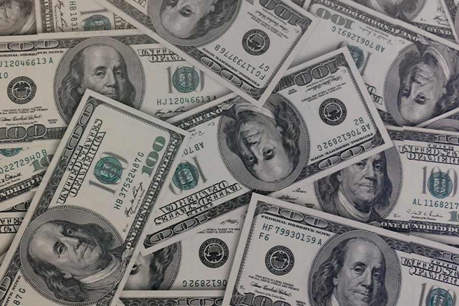 Elon Musk on Vampire