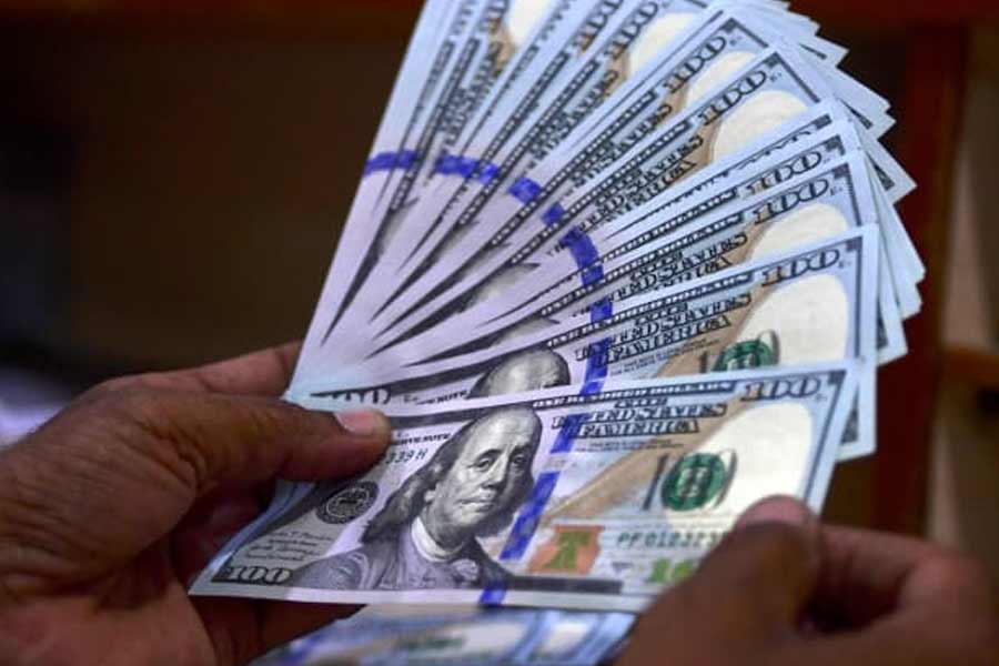 Elon Musk on Vampire