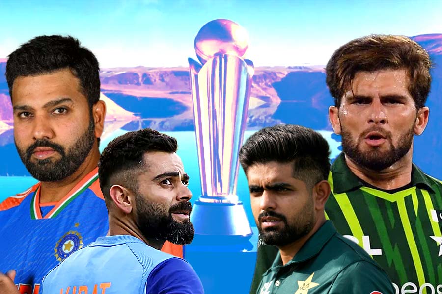 cricket