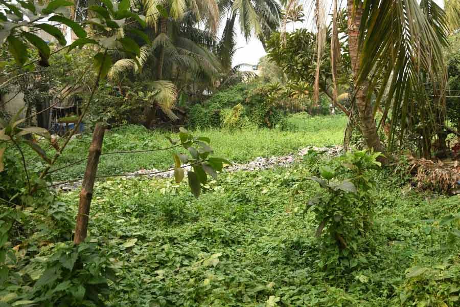 Allegedly, RG Kar's family Lake has been stolen illegally