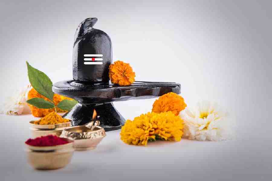 shiv
