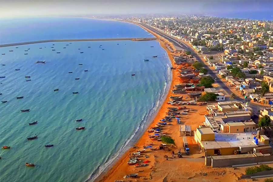 Pakistan’s Donkey Slaughterhouse