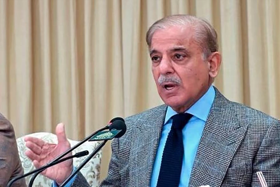 Pakistan’s Donkey Slaughterhouse