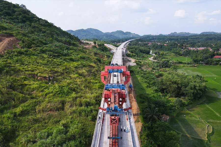 Pakistan’s Donkey Slaughterhouse