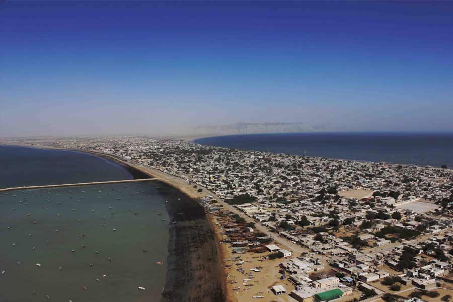 Pakistan’s Donkey Slaughterhouse