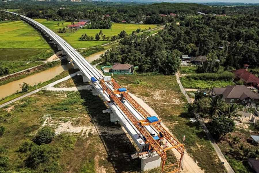 Pakistan’s Donkey Slaughterhouse