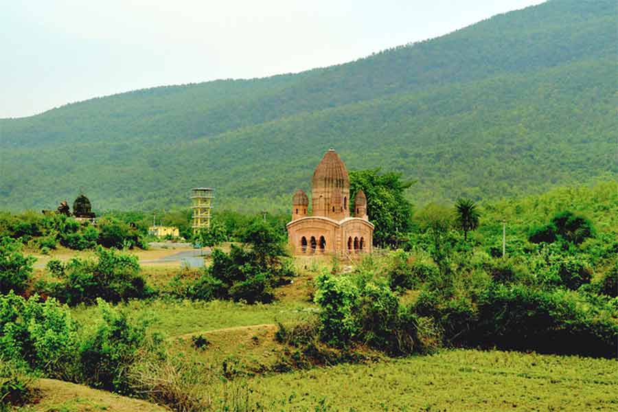 Greenary and Wildlife Population increased at Gar Panchko after wildfire incidents reduced