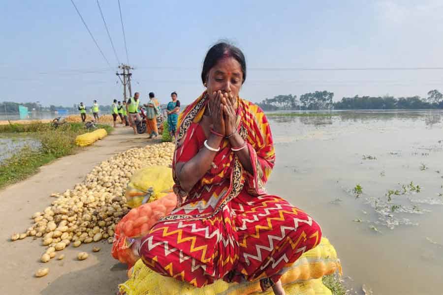 Potao farms flooded after water entered through crack in Dam at Khanakul and Udaynarayanpur