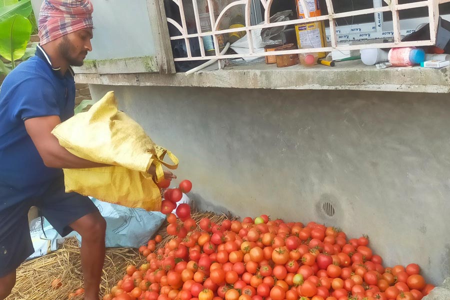 Farmers are worried due to huge price of tomatoes
