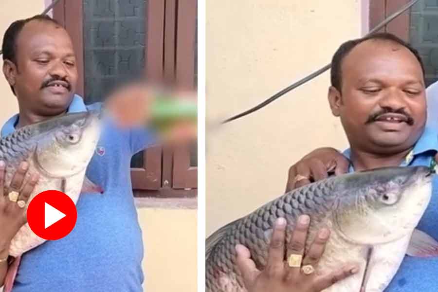 Video shows man pouring beer in fish mouth, Internet reacts after video goes viral