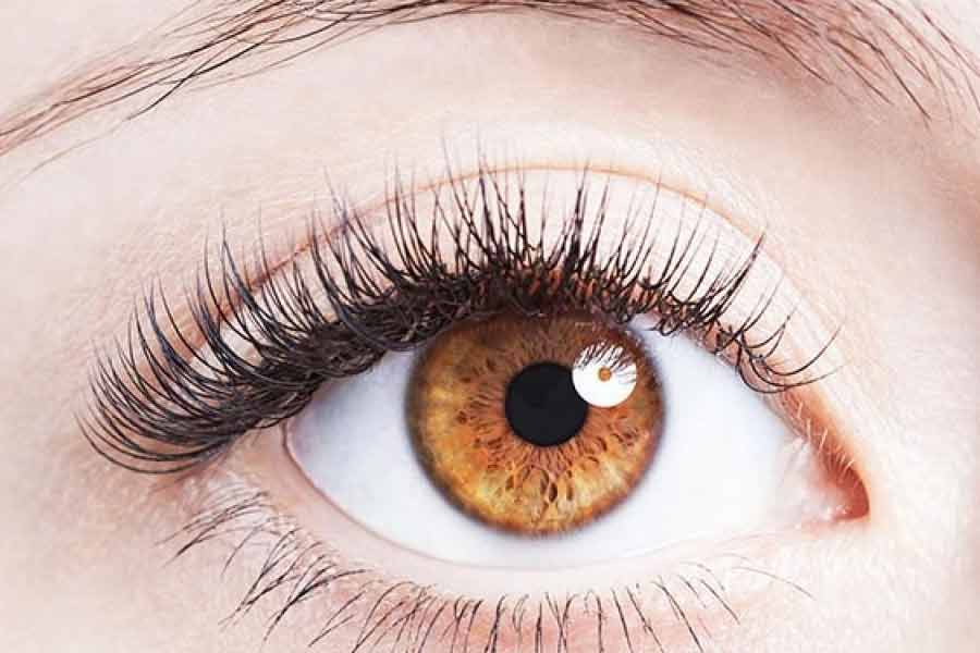 Regular eye examination can prevent Glaucoma