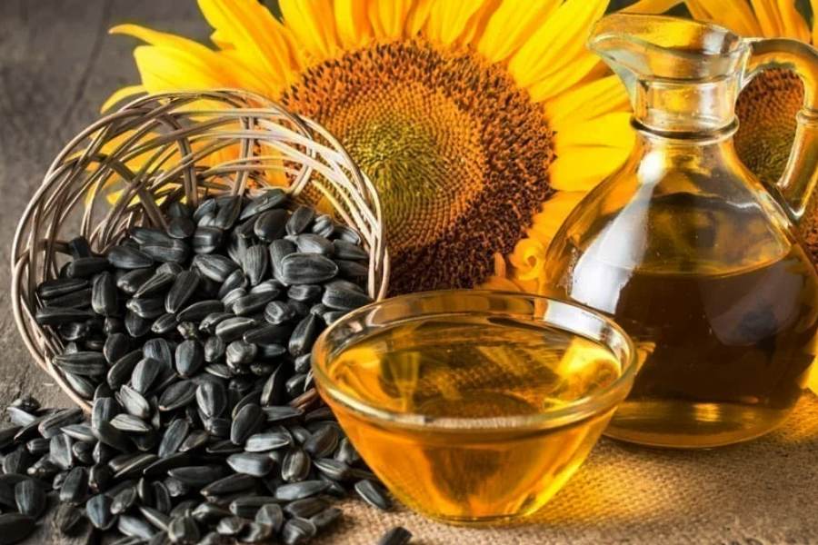 Sunflower Oil