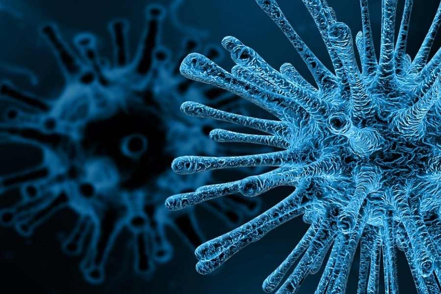 All need to know about HMPV, virus that spreading in China