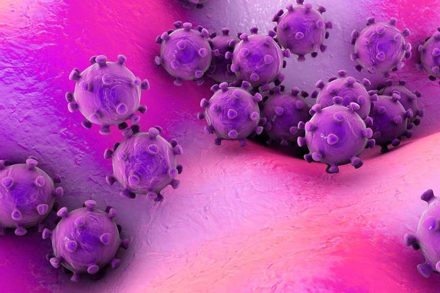  All need to know about HMPV, virus that spreading in China