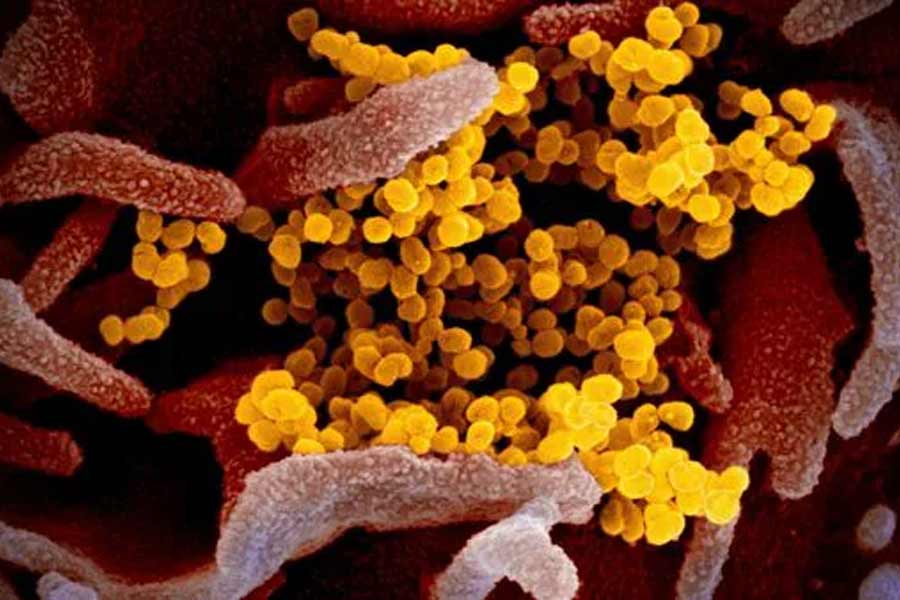  All need to know about HMPV, virus that spreading in China