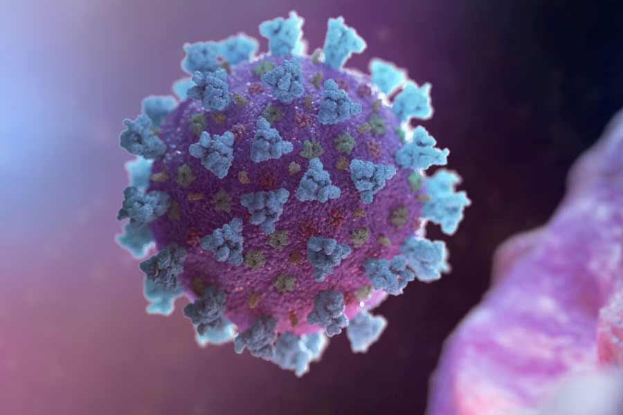  All need to know about HMPV, virus that spreading in China