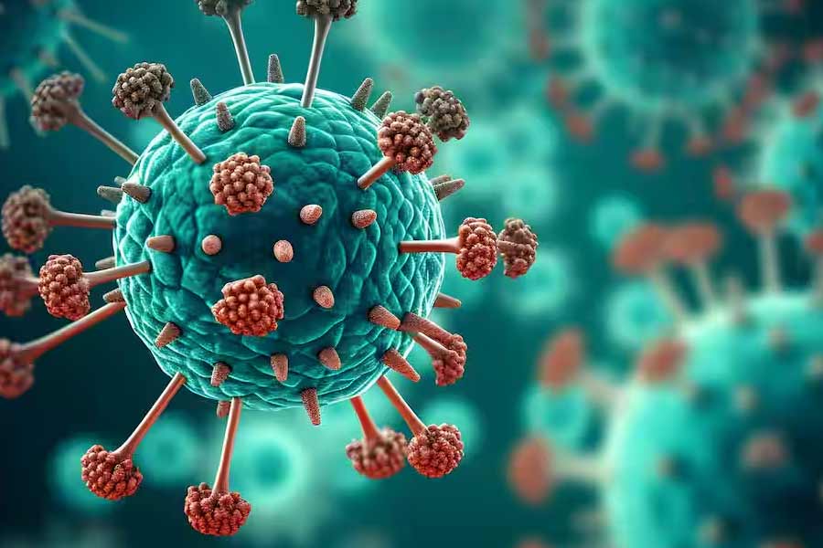  All need to know about HMPV, virus that spreading in China