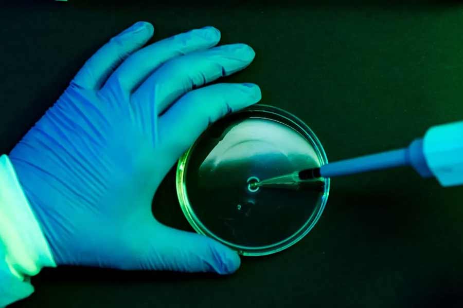  All need to know about HMPV, virus that spreading in China