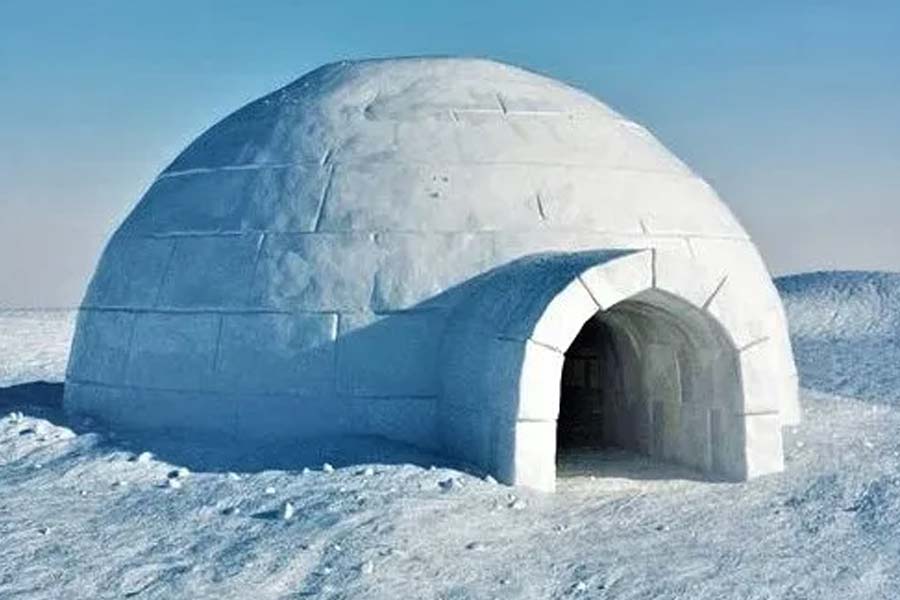 A tragic story of six intuits who had been bought from Greenland to America 