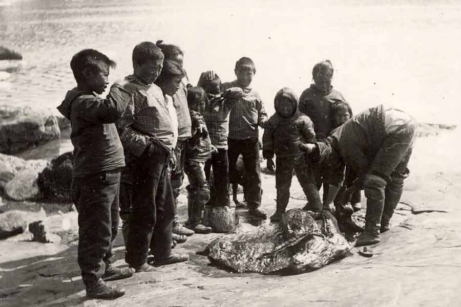 A tragic story of six intuits who had been bought from Greenland to America 