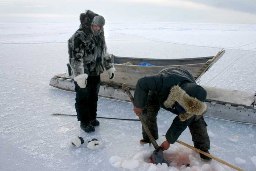 A tragic story of six intuits who had been bought from Greenland to America 