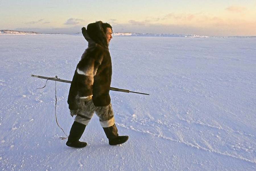 A tragic story of six intuits who had been bought from Greenland to America 