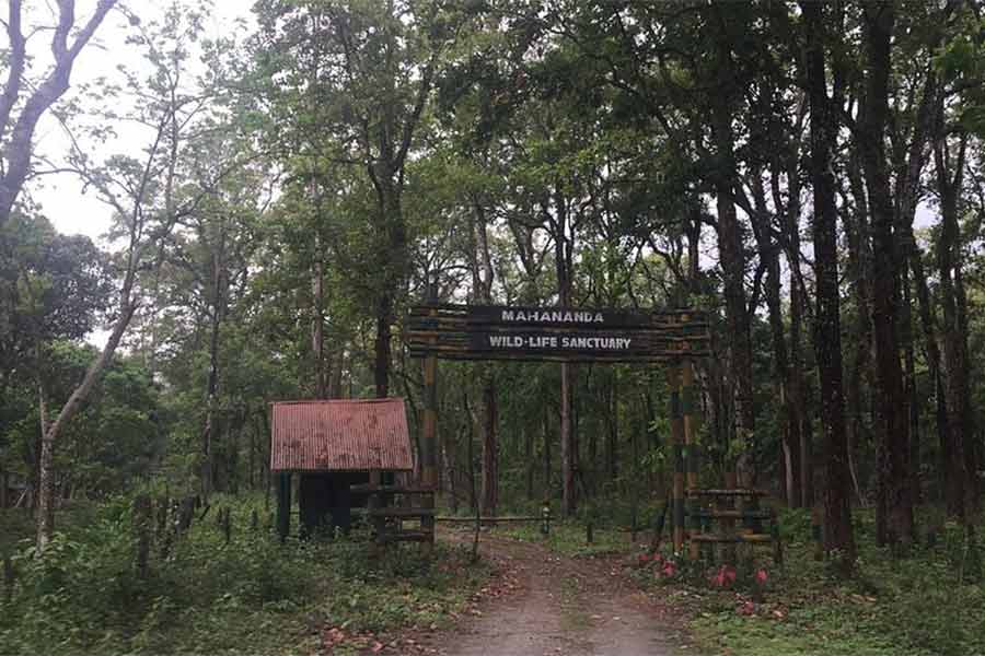 Administration planning to make an eco tourism center at Mahananda Wildlife Santuary