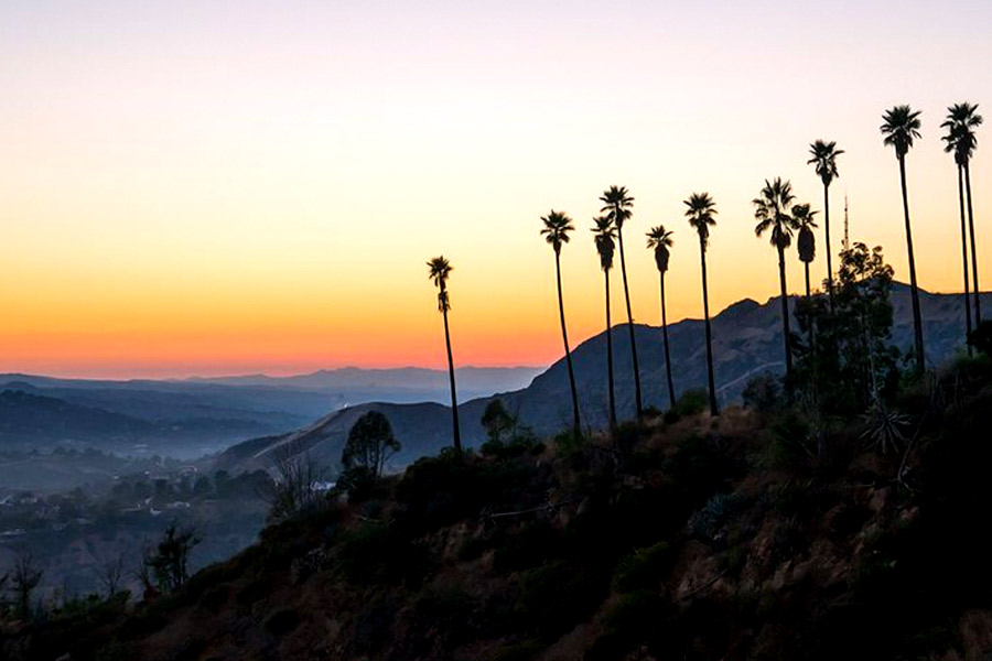 All need to know about Burbank B mystery