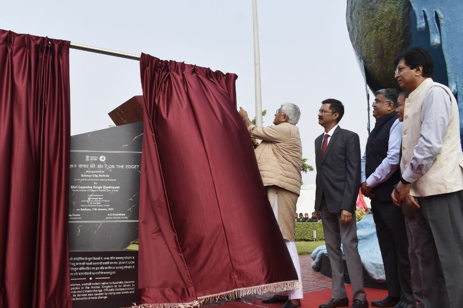 The Union Minister of Culture at the gallery inauguration event. 