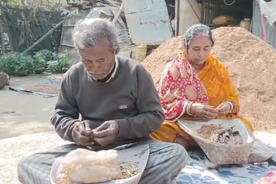 বিড়ি বাঁধছেন রঞ্জিত বিশ্বাস এবং সুচিত্রা বিশ্বাস।