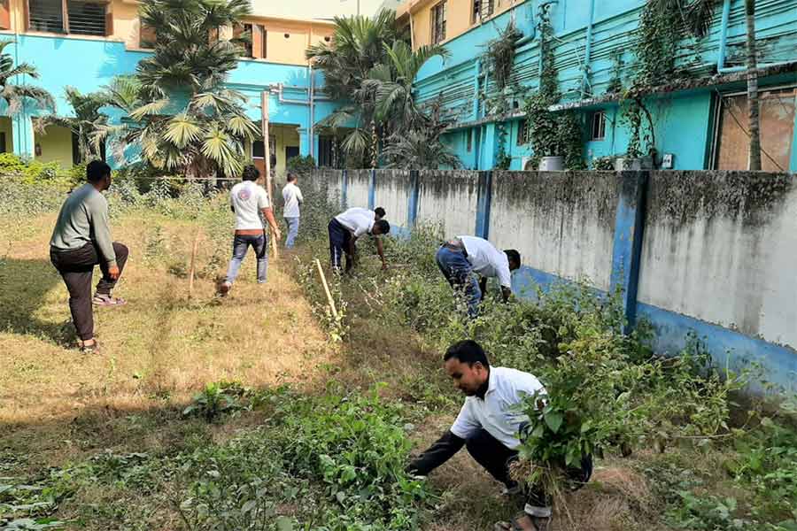 ছুটির দিনেও বিশ্ববিদ্যালয় চত্বরে আগাছা সাফাইয়ের কাজ চলছে।