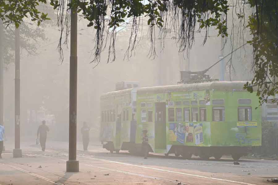 কুয়াশা-ভেদী: সকালের ময়দানে যাত্রা। রবিবার ধর্মতলায়।