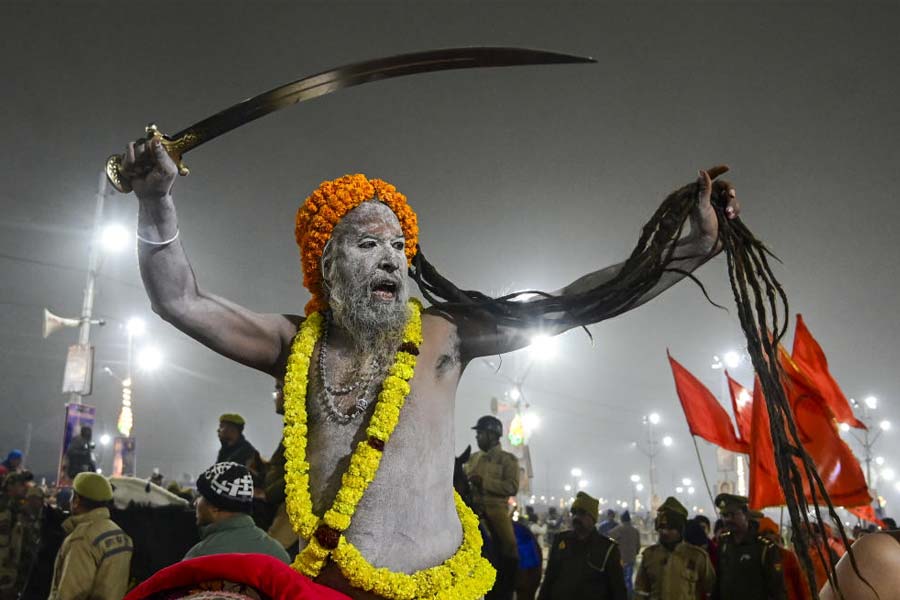 All you need to know about IIT Baba from Mahakumbh 2025