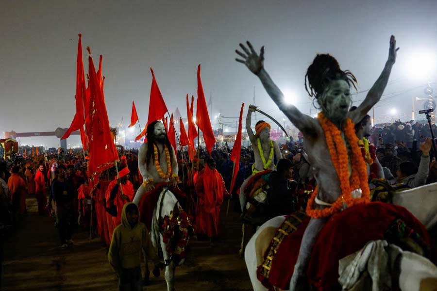 All you need to know about IIT Baba from Mahakumbh 2025