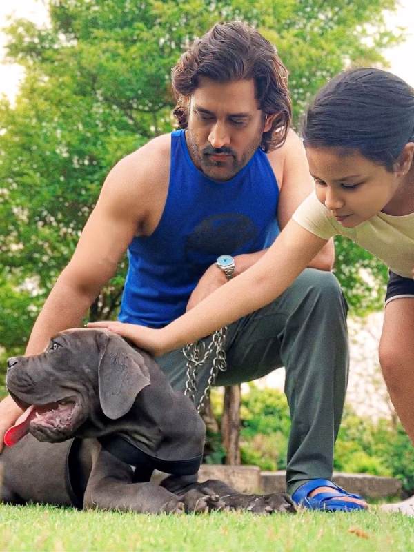 পোষ্যের সঙ্গে মহেন্দ্র সিংহ ধোনি এবং তাঁর কন্যা জিভা। 