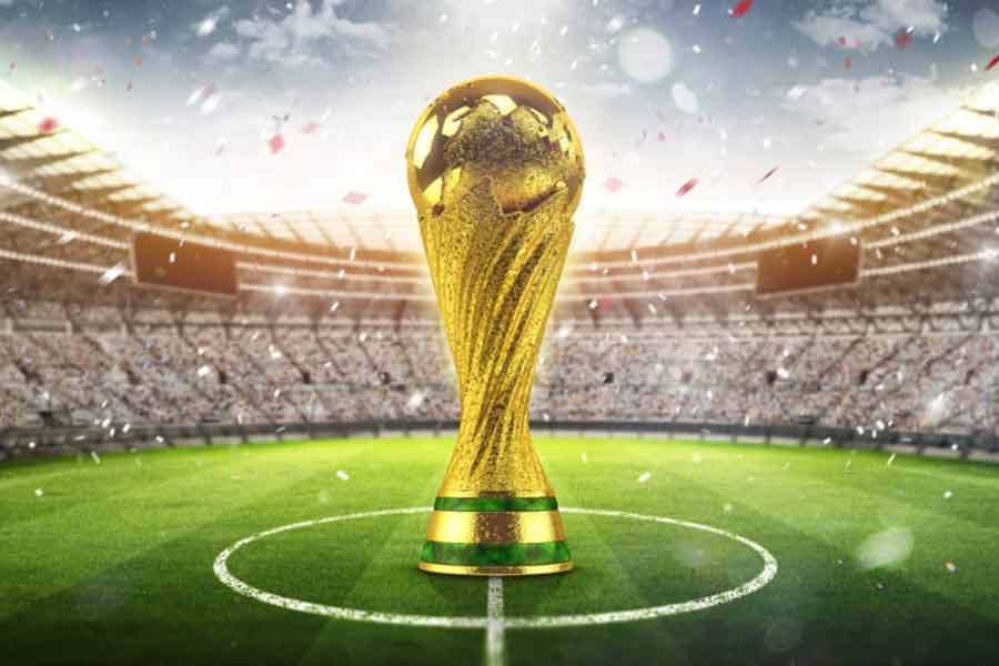 According to report Morocco plans to kill 30 lakh stray dogs before Fifa World Cup 2030